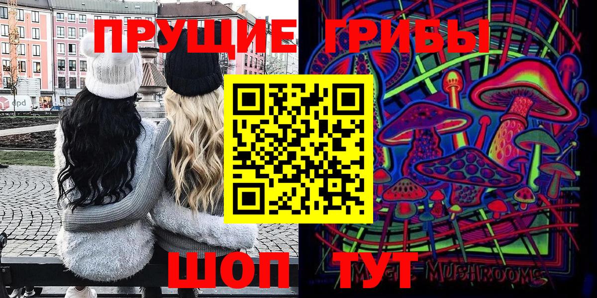 Сосновый Бор  Псилоцибиновые грибы Cubensis  Вход с VPN  Псилоцибиновые грибы Cubensis 